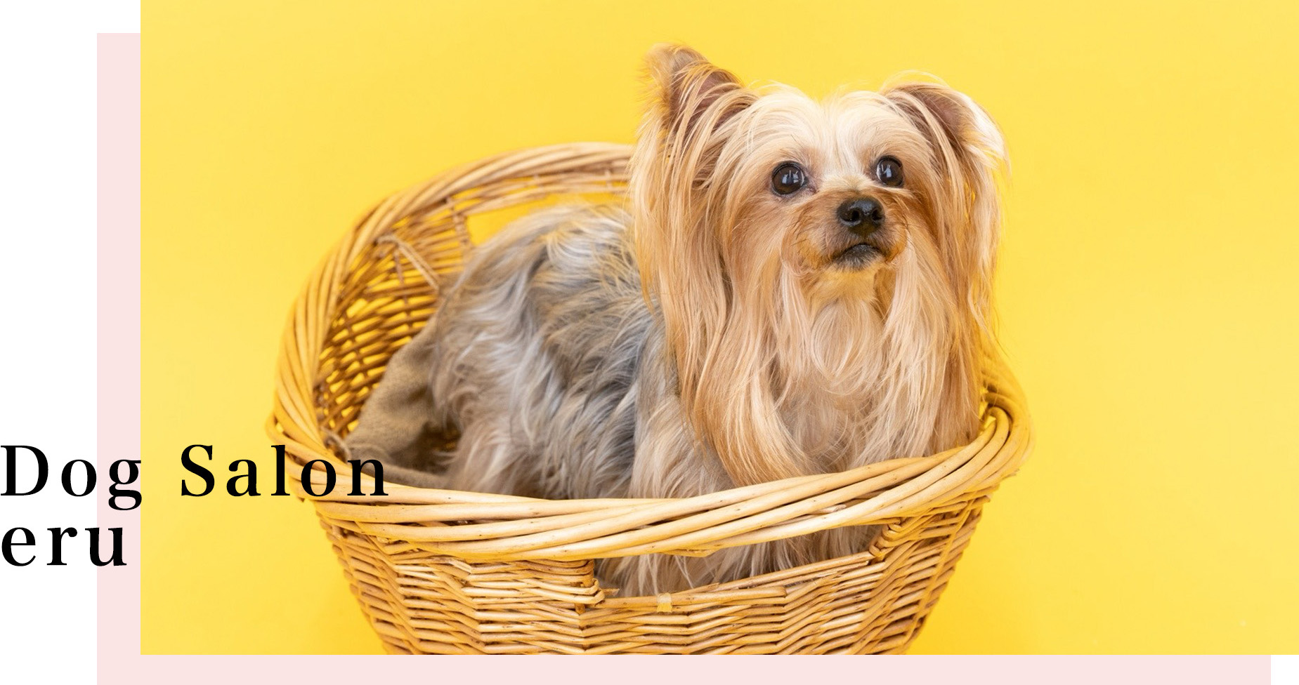 ドッグトリミングサロン・エル Dog salon eru